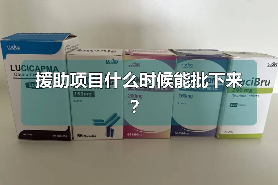 援助项目什么时候能批下来？